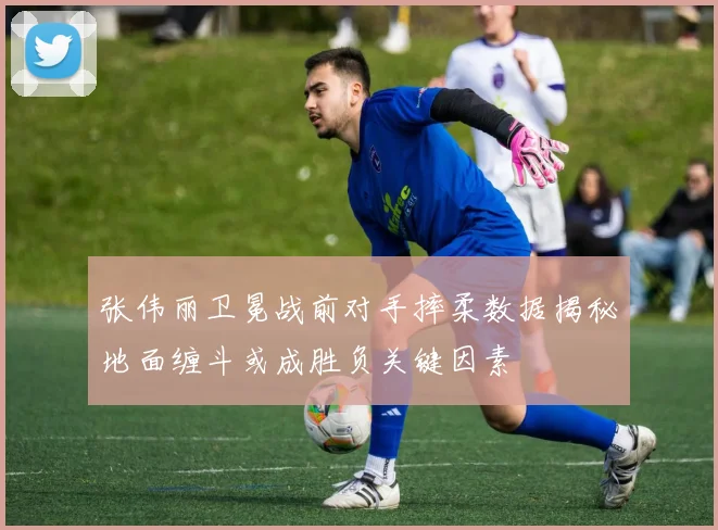 张伟丽卫冕战前对手摔柔数据揭秘地面缠斗或成胜负关键因素