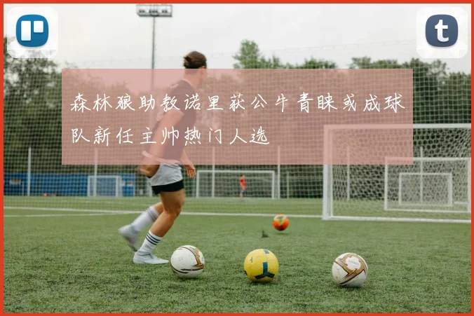 森林狼助教诺里获公牛青睐或成球队新任主帅热门人选